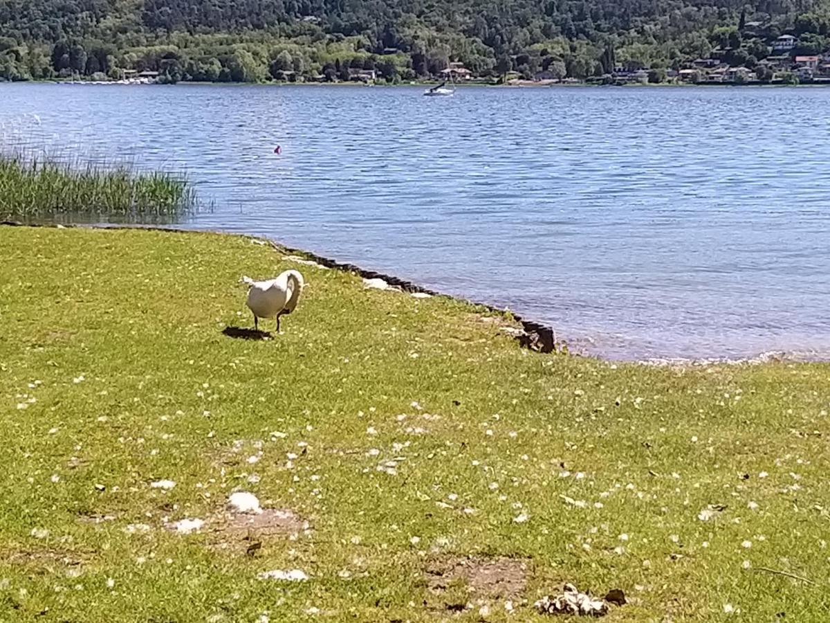 Ritratto Sul Lago Дормелето Екстериор снимка